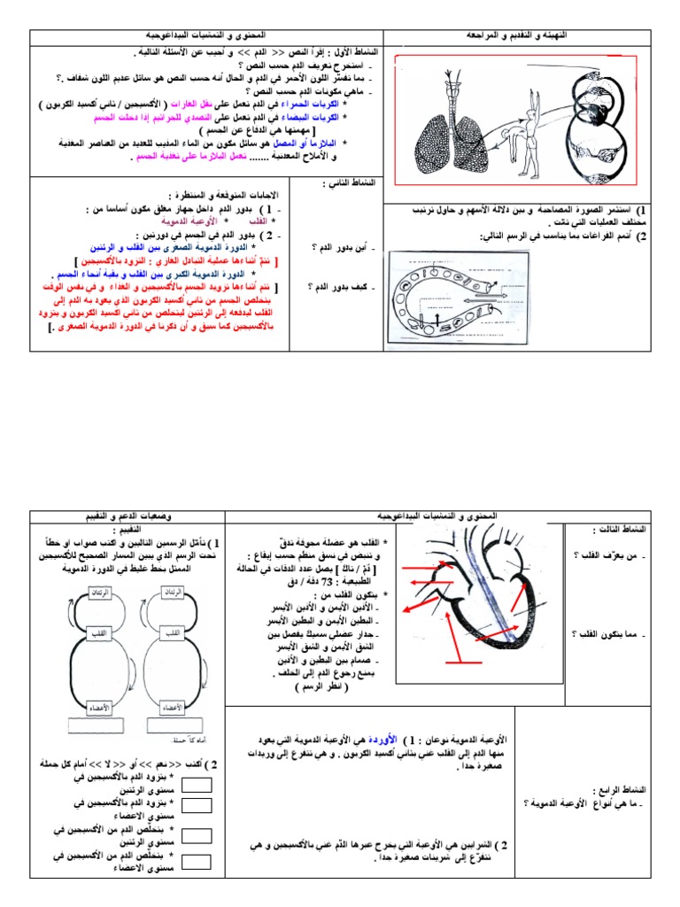 مذكّرات ايقاظ علمي س 6 | PDF