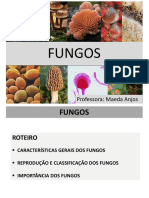 Aula - Fungi - 2022