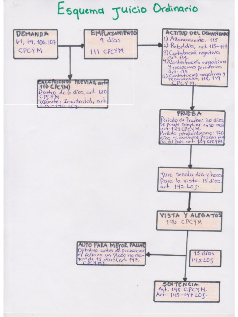 esquema-de-juicio-ordinario-pdf