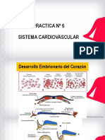 PRACTICA 6 CORAZON SIST. ARTERIAL - Flatten