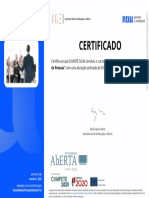 Certificado Nau Curso