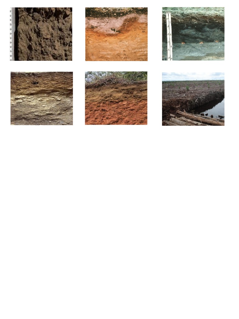 Tanah Di Indonesia | PDF