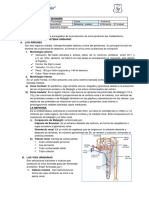 Sistema Urinario