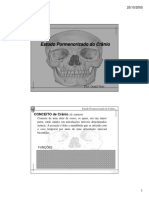 Estudo detalhado do crânio