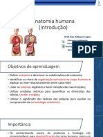 Anatomia Humana Essencial