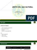 Endulzamiento Gas Natural