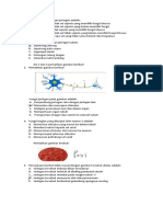 PDF Document (3) Bio Latihan Hewan