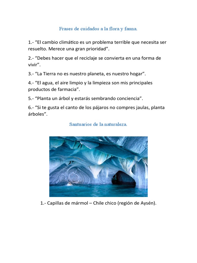 Frases de Cuidados A La Flora y Fauna | PDF, image size:768x1024