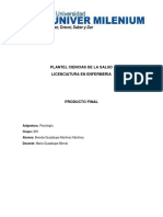 Producto Final Psicologia Bgmm.2