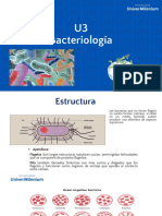 Bacteriologia