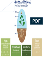 Infografia Herbicida