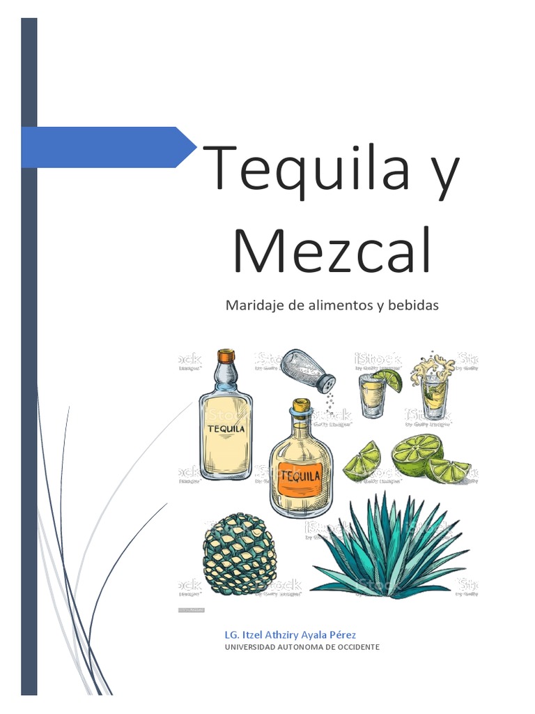 Recetas Tequila y Mezcal PDF Limonada Alimentos