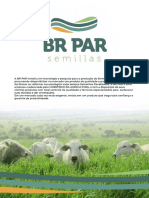 BR Par Semillas - 2020-12 - Folder Digital