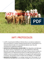 Tema 7 Iaft Protocolos