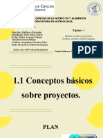 1.1 Conceptos Básicos Sobre Proyectos. (Autoguardado)