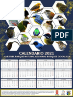 Calendario Aves de Galilea 2021