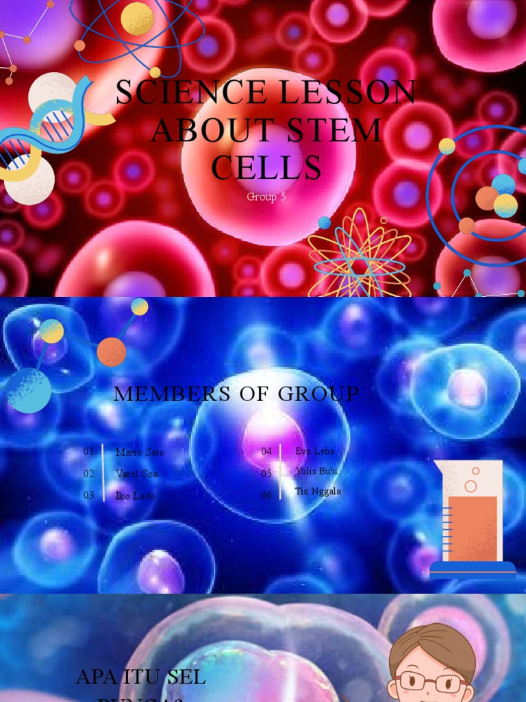 Stem Cells | PDF | Sains & Matematika