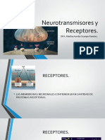 Neurotransmisores, receptores y segundos mensajeros