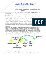 Imaizumi Yuko - Research Paper 2017