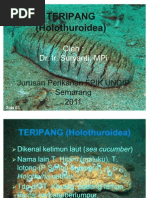 Download KUL 2 TERIPANG Holothuroidea by Dim Dimz SN60502301 doc pdf