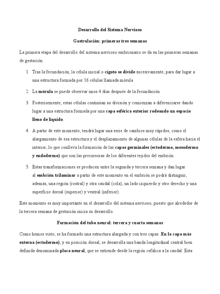 Desarrollo Del Sistema Nervioso PDF