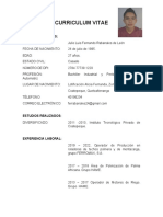 CURRICULUM VITAE Luis Fernando