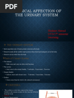 Urology Medical Terminology Guide | PDF | Urinary System | Kidney