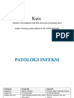 4. PATOLOGI INFEKSI