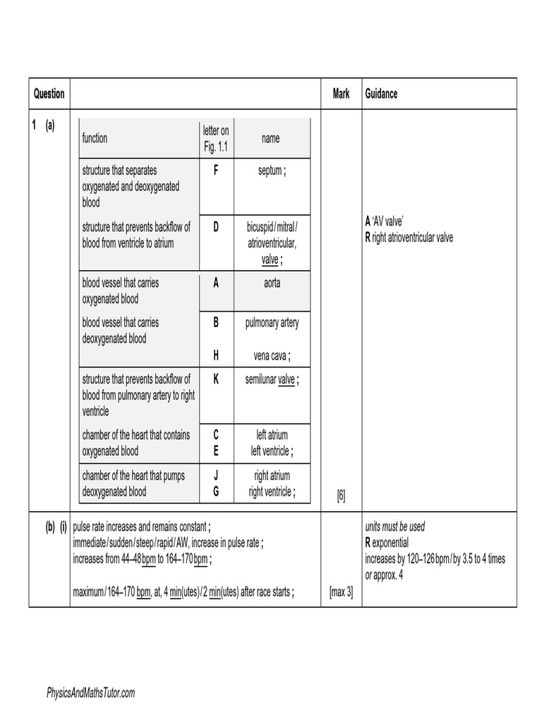 Transport in Animals 1 MS PDF Heart Heart Valve