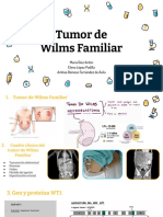 Tumor de Wilms Familiar