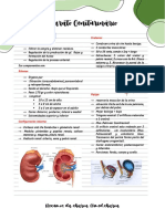 Urologia INICIO