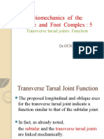 Transverse Tarsal Joint Function and Compensation