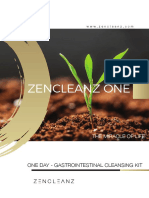 ZENCLEANZ ONE Manual