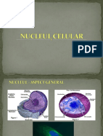 Curs 5 - Nucleul