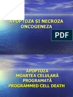 Curs 10 - Apoptoza Si Necroza Proteinele Chaperone