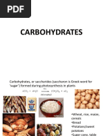 Carbs & Lipids