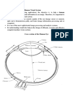 Human Visual System