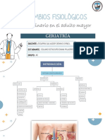 Cambios Fisiológicos Genitourinarios en El Adulto Mayor