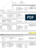 5s Formato de Auditoria