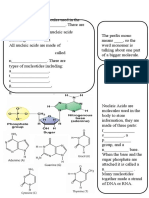 Nucleic acids: DNA, RNA and protein synthesis