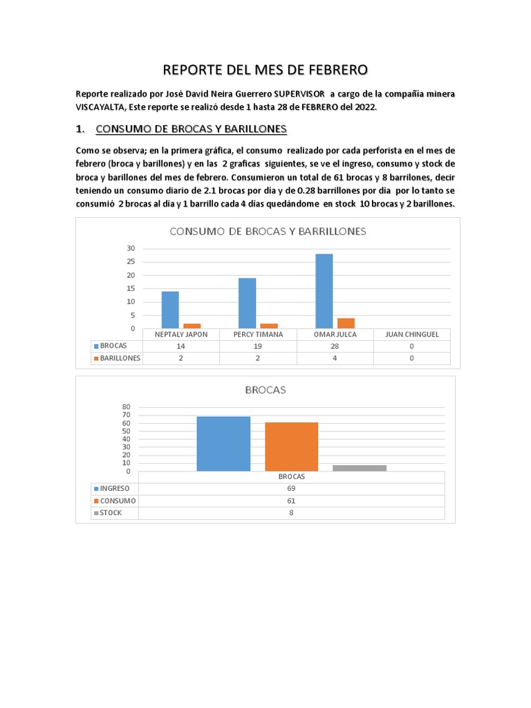 Informe Mensual Febrero PDF