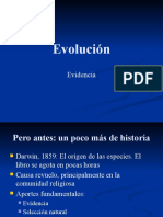 Evolucion 2