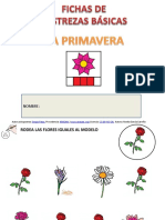 Fichas de Destrezas Basicas Primavera