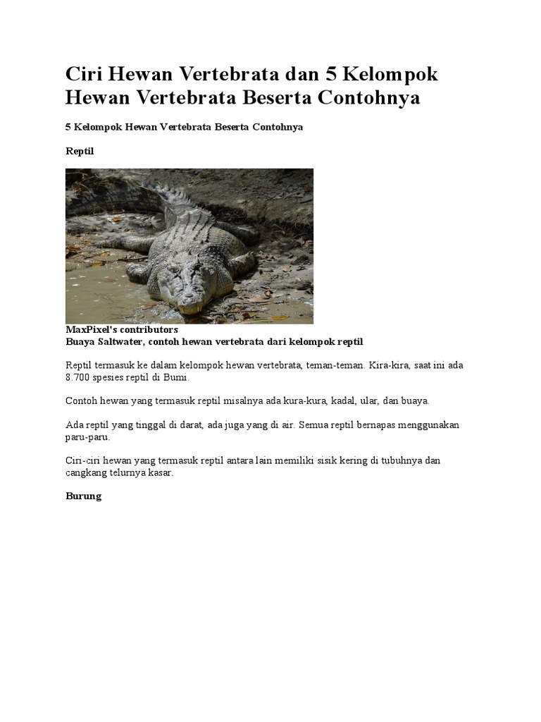 Ciri dan Kelompok Hewan Vertebrata | PDF | Sains & Matematika