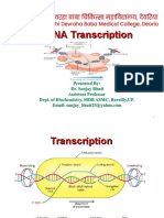 Transcription