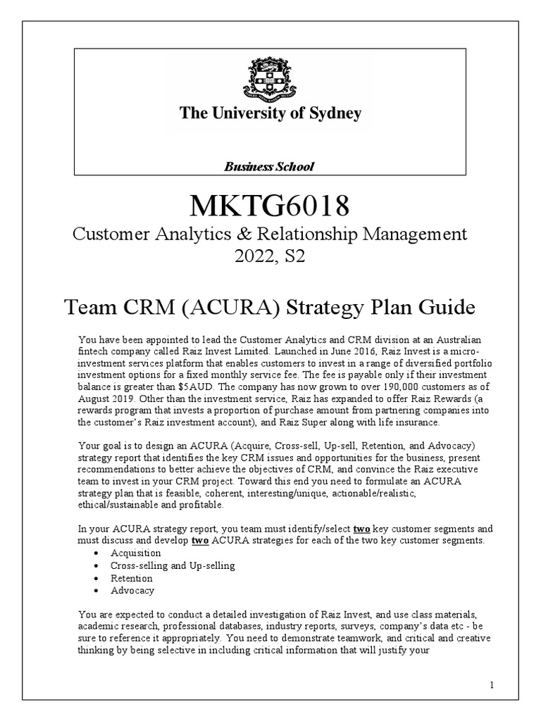 CRM Strategy for Raiz Invest | PDF | Customer Relationship Management ...