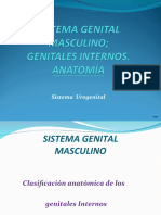 1 Anatomía Gen. Int. Testículos Versión 5.1