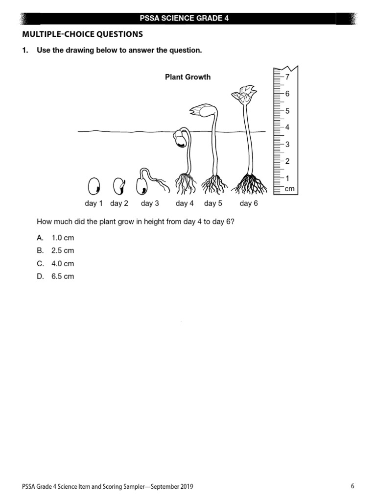 Pssa Grade 3 Mathematics Item Sampler
