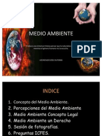 Medio Ambiente Bachillerato