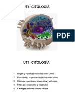 Citología. Núcleo